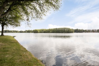 Omgeving