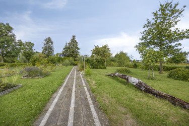 Omgeving
