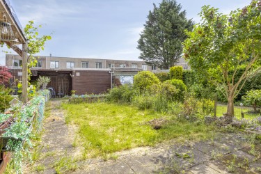 Tuin