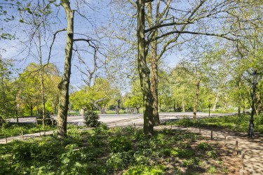 Omgeving
