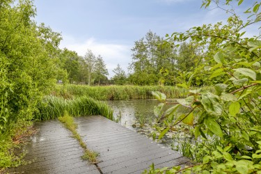 Tuin