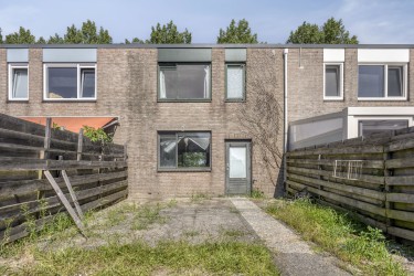 Tuin