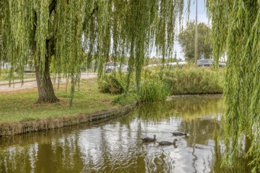 Extra foto's