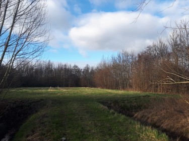Boskamers Boseilanden Zuid