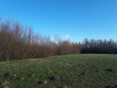 Hoofdfoto