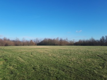 Hoofdfoto