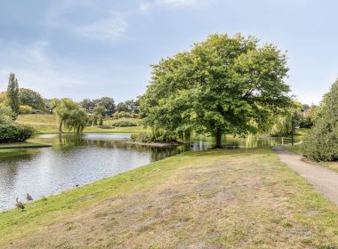 Centrale locatie