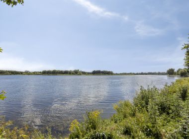 Omgeving