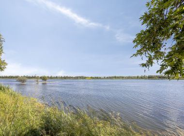 Omgeving