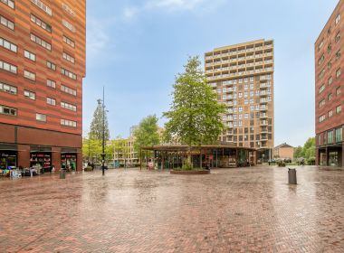 Omgeving